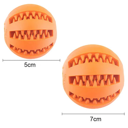 Dog Ball Toy for Small Dogs | Interactive, Elastic, Chew-Friendly & Tooth Cleaning