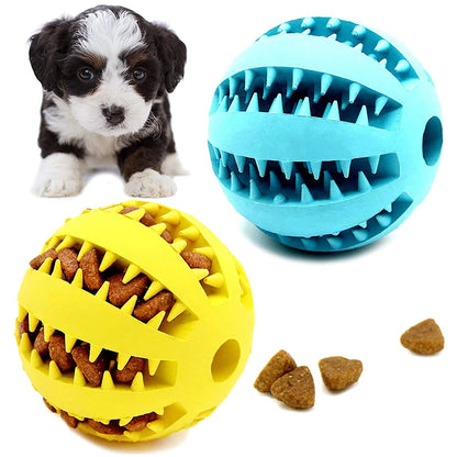 Dog Ball Toy for Small Dogs | Interactive, Elastic, Chew-Friendly & Tooth Cleaning