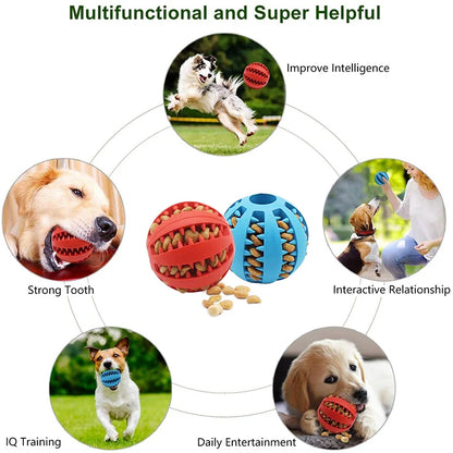 Dog Ball Toy for Small Dogs | Interactive, Elastic, Chew-Friendly & Tooth Cleaning