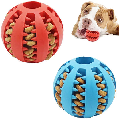 Dog Ball Toy for Small Dogs | Interactive, Elastic, Chew-Friendly & Tooth Cleaning