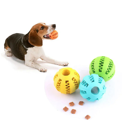 Dog Ball Toy for Small Dogs | Interactive, Elastic, Chew-Friendly & Tooth Cleaning