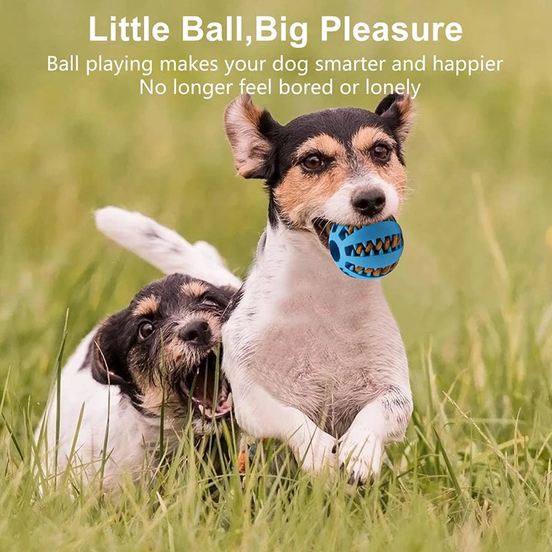 Dog Ball Toy for Small Dogs | Interactive, Elastic, Chew-Friendly & Tooth Cleaning